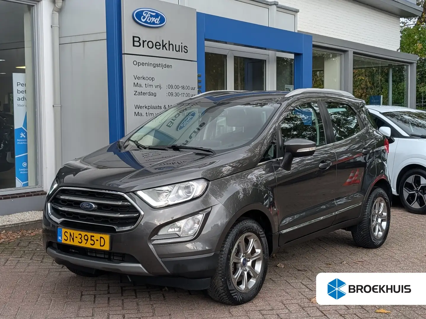 Ford EcoSport 1.0 EcoBoost Titanium 125pk | Carplay | Navi | Win Grijs - 1