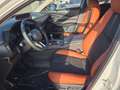 Mazda CX-30 2.5L e-SKYACTIV G 140ps Nagisa,sofort Weiß - thumbnail 6