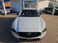 Mazda CX-30 2.5L e-SKYACTIV G 140ps Nagisa,sofort Weiß - thumbnail 19