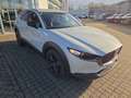 Mazda CX-30 2.5L e-SKYACTIV G 140ps Nagisa,sofort Weiß - thumbnail 18