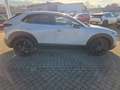 Mazda CX-30 2.5L e-SKYACTIV G 140ps Nagisa,sofort Weiß - thumbnail 17