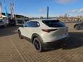 Mazda CX-30 2.5L e-SKYACTIV G 140ps Nagisa,sofort Weiß - thumbnail 4
