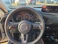 Mazda CX-30 2.5L e-SKYACTIV G 140ps Nagisa,sofort Weiß - thumbnail 7