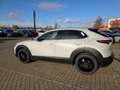 Mazda CX-30 2.5L e-SKYACTIV G 140ps Nagisa,sofort Weiß - thumbnail 3