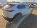 Mazda CX-30 2.5L e-SKYACTIV G 140ps Nagisa,sofort Weiß - thumbnail 16