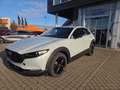 Mazda CX-30 2.5L e-SKYACTIV G 140ps Nagisa,sofort Weiß - thumbnail 2