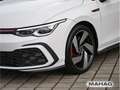 Volkswagen Golf GTI Golf VIII GTI 2.0 TSI Navi LEDN Kamera DSG Weiß - thumbnail 9