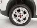 Fiat Panda 4x4 1.3 multijet 16v 75cv 4x4 e5+ - thumbnail 9