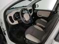Fiat Panda 4x4 1.3 multijet 16v 75cv 4x4 e5+ - thumbnail 10