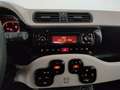 Fiat Panda 4x4 1.3 multijet 16v 75cv 4x4 e5+ - thumbnail 14