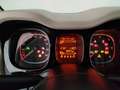 Fiat Panda 4x4 1.3 multijet 16v 75cv 4x4 e5+ - thumbnail 25