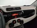 Fiat Panda 4x4 1.3 multijet 16v 75cv 4x4 e5+ - thumbnail 15