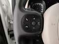 Fiat Panda 4x4 1.3 multijet 16v 75cv 4x4 e5+ - thumbnail 13