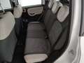Fiat Panda 4x4 1.3 multijet 16v 75cv 4x4 e5+ - thumbnail 19