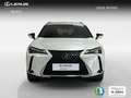 Lexus UX 300h 2.0  Plus Bianco - thumbnail 5