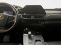 Lexus UX 300h 2.0  Plus Bianco - thumbnail 17