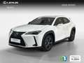 Lexus UX 300h 2.0  Plus Bianco - thumbnail 1