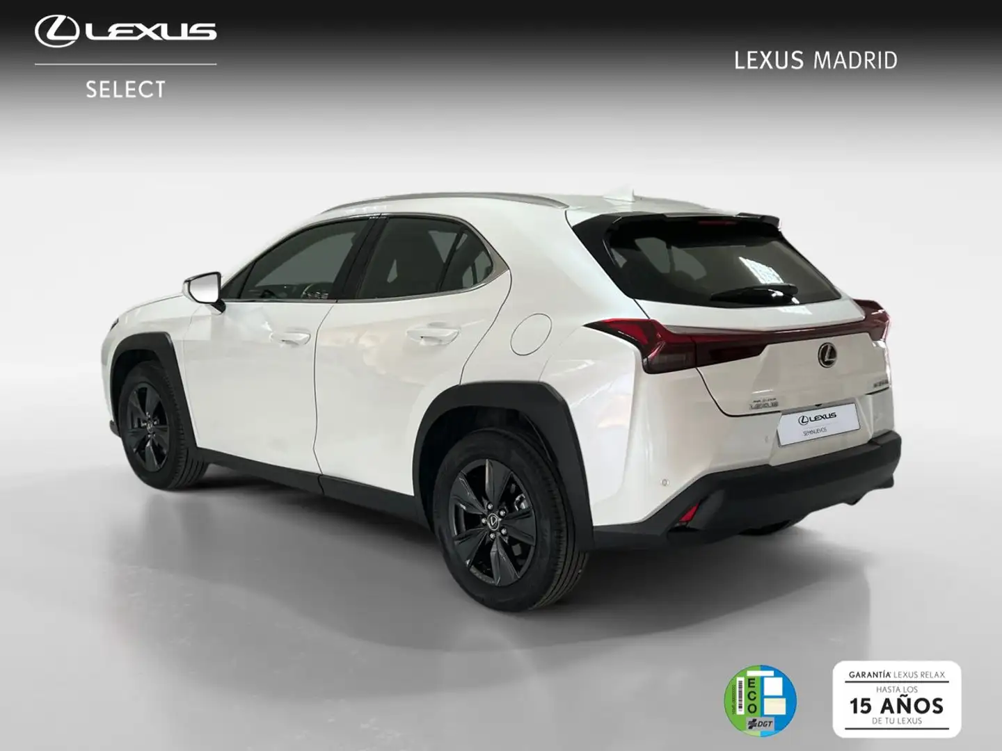 Lexus UX 300h 2.0  Plus Bianco - 2