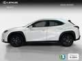 Lexus UX 300h 2.0  Plus Bianco - thumbnail 3