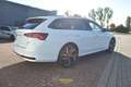 Skoda Octavia 2.0 TSI 4X4 Sportline*Matrix*Pano*Sthz.* Weiß - thumbnail 7