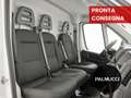 Fiat Ducato Ducato 35 2.2 Mjt 140CV PC-TN Furgone - thumbnail 8
