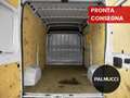 Fiat Ducato Ducato 35 2.2 Mjt 140CV PC-TN Furgone - thumbnail 7