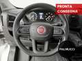 Fiat Ducato Ducato 35 2.2 Mjt 140CV PC-TN Furgone - thumbnail 10