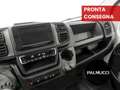 Fiat Ducato Ducato 35 2.2 Mjt 140CV PC-TN Furgone - thumbnail 16