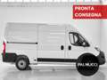 Fiat Ducato Ducato 35 2.2 Mjt 140CV PC-TN Furgone - thumbnail 5