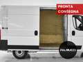 Fiat Ducato Ducato 35 2.2 Mjt 140CV PC-TN Furgone - thumbnail 6