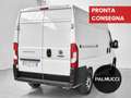 Fiat Ducato Ducato 35 2.2 Mjt 140CV PC-TN Furgone - thumbnail 3