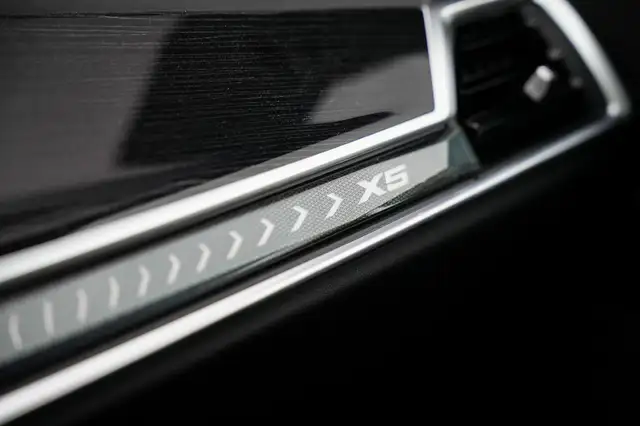 BMW X5 view 10