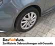 SEAT Ibiza 5-Türer Aktionsmodell Start-Stopp Grau - thumbnail 4