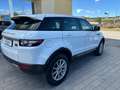 Land Rover Range Rover Evoque Range Rover Evoque 5p 2.2 td4 Pure 150cv Bianco - thumbnail 3