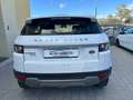 Land Rover Range Rover Evoque Range Rover Evoque 5p 2.2 td4 Pure 150cv Bianco - thumbnail 6