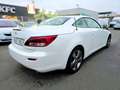 Lexus IS 250 C Luxury Aut. Blanc - thumbnail 6