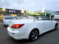 Lexus IS 250 C Luxury Aut. Blanc - thumbnail 10