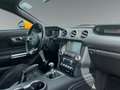 Ford Mustang GT Convertible 5.0 Ti-VCT V8  Navi Leder Soundsyst Orange - thumbnail 7