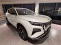 Dongfeng Huge ICE E2 Weiß - thumbnail 9