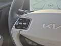 Kia EV6 77.4 AWD AIR-PAKET | WP | HERSTELLERGARANTIE Rot - thumbnail 17