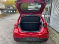 Mazda 2 Nakama inkl. AHK + Allwetterbereifung Rot - thumbnail 6
