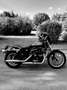 Harley-Davidson Sportster 883 r - thumbnail 5