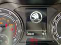 Skoda Scala Active Grau - thumbnail 12