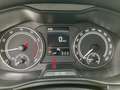 Skoda Scala Active Grau - thumbnail 23