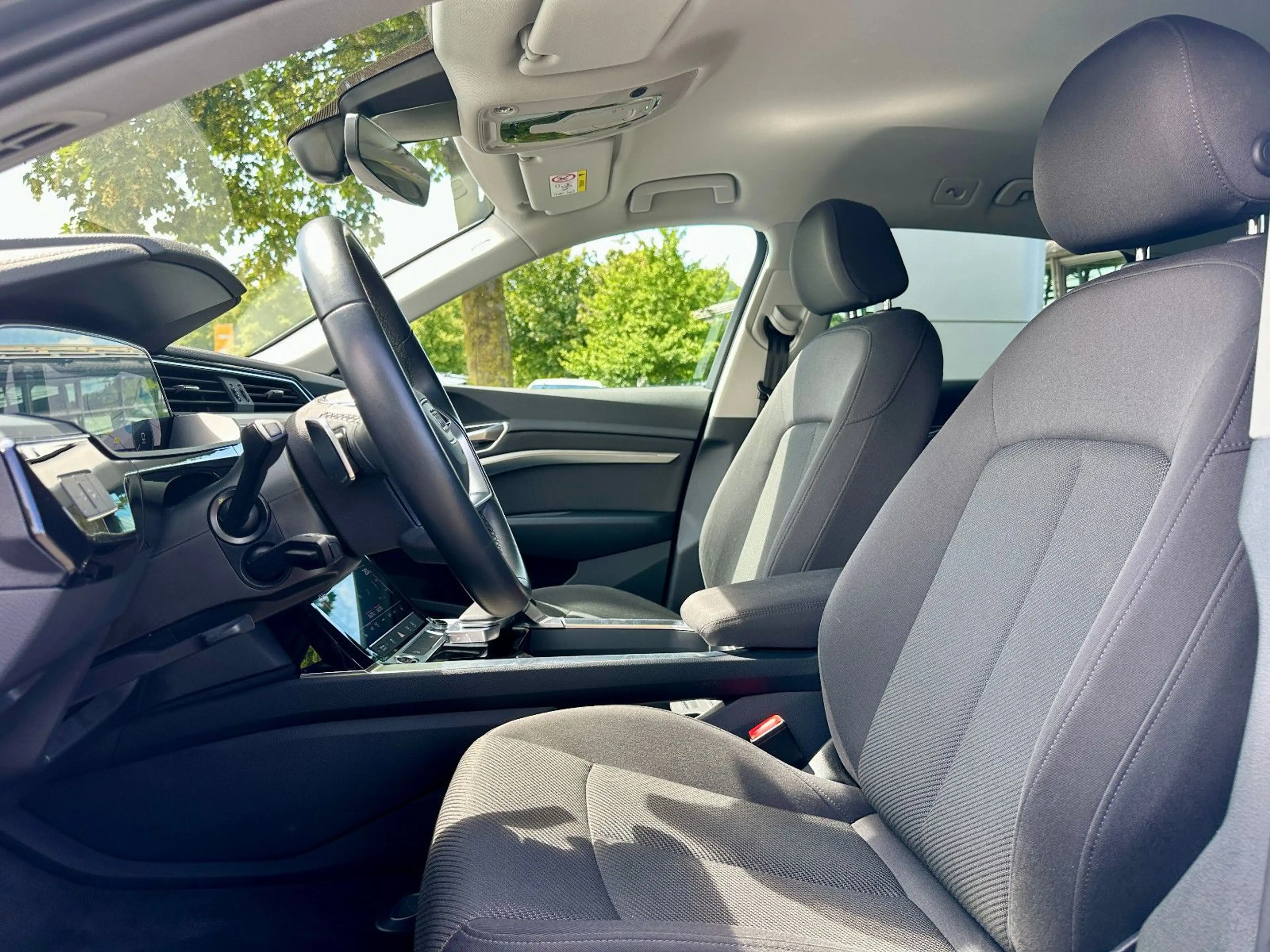 Audi Q8 e-tron 50 qu advanced AHK KAMERA TOUR/STADT — photo 12