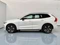 Volvo XC60 B5 Plus Dark AWD Aut. Blanco - thumbnail 3