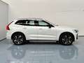 Volvo XC60 B5 Plus Dark AWD Aut. Blanco - thumbnail 2