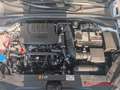 Kia XCeed GT-Line 1.5T Leder-Paket Glasdach Blanc - thumbnail 14