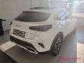Kia XCeed GT-Line 1.5T Leder-Paket Glasdach Blanc - thumbnail 4