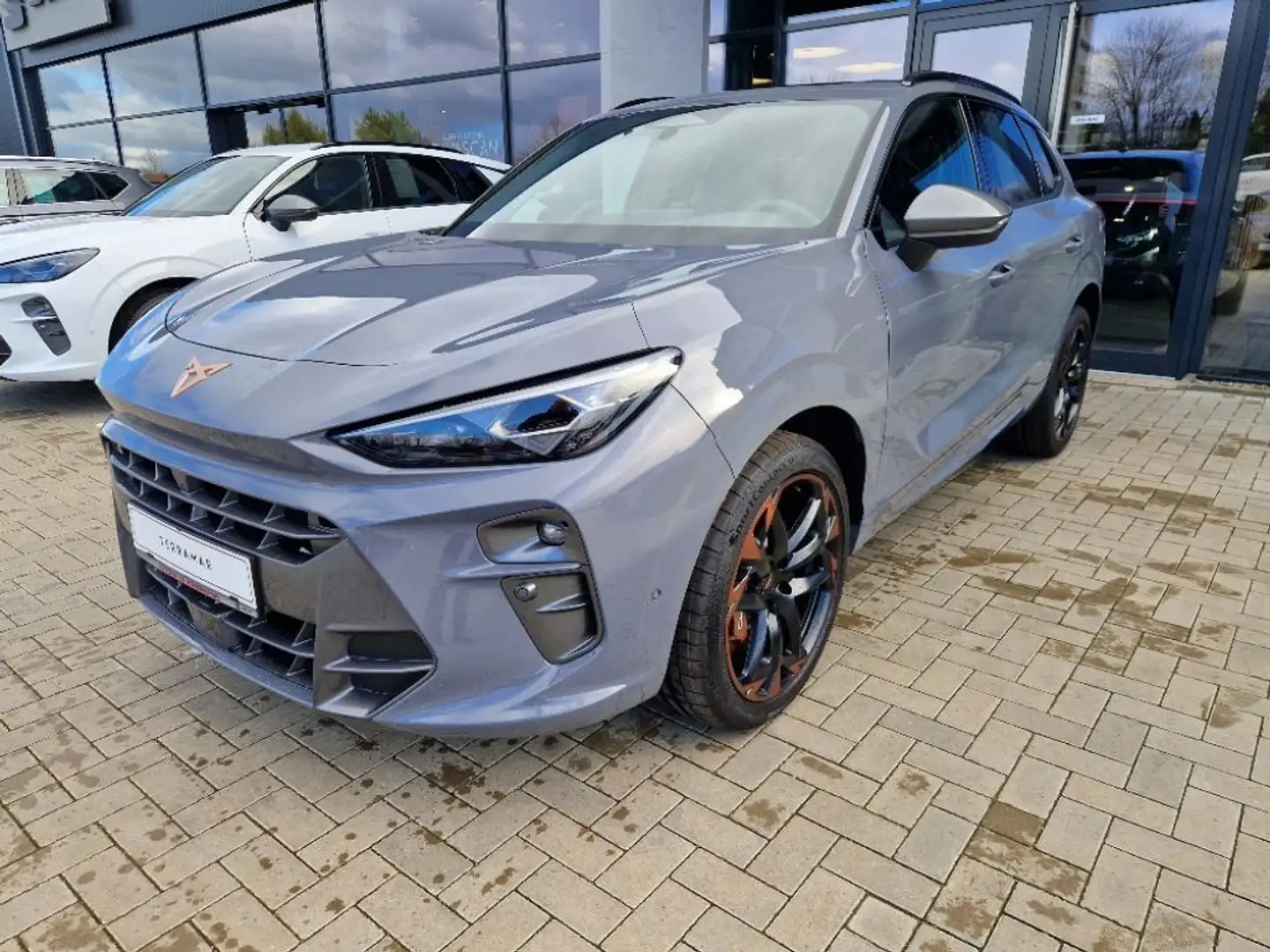 CUPRA Terramar 2.0 TSI 4Drive DSG VZ Grau - 1